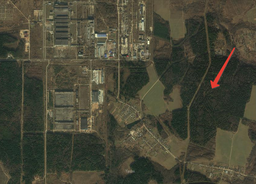 На карте хорошо видно, что лес совсем пригородный, в правом верхнем углу - лесопилка.А лоси - есть!