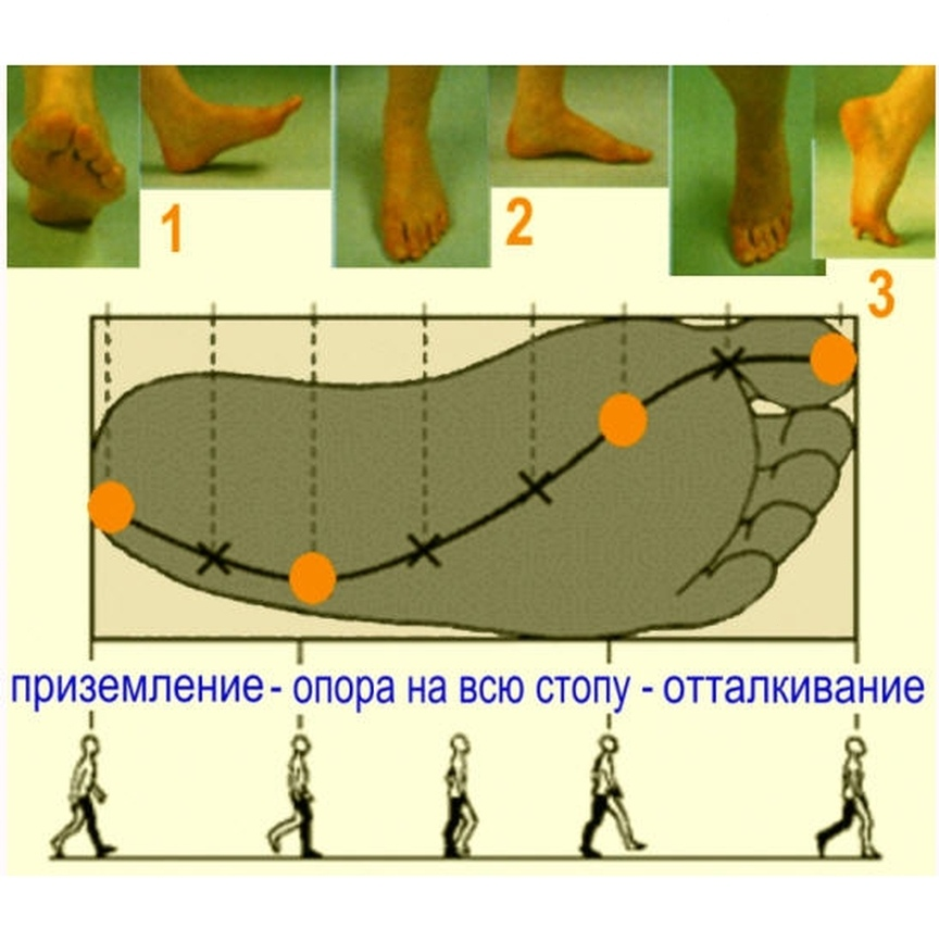 Чем отличается ходьба от бега и что влияет на походку SmartSpine. Фитнес для зд