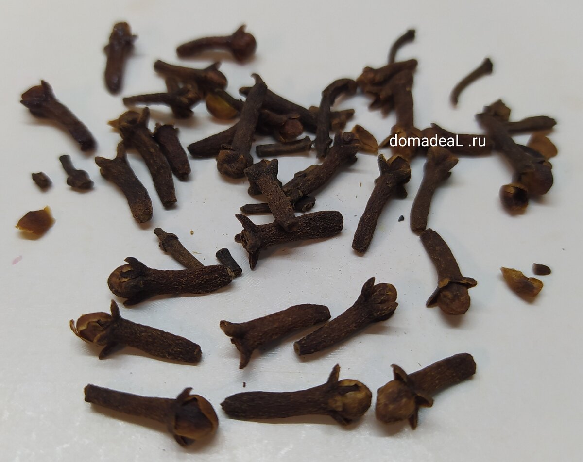 гвоздика