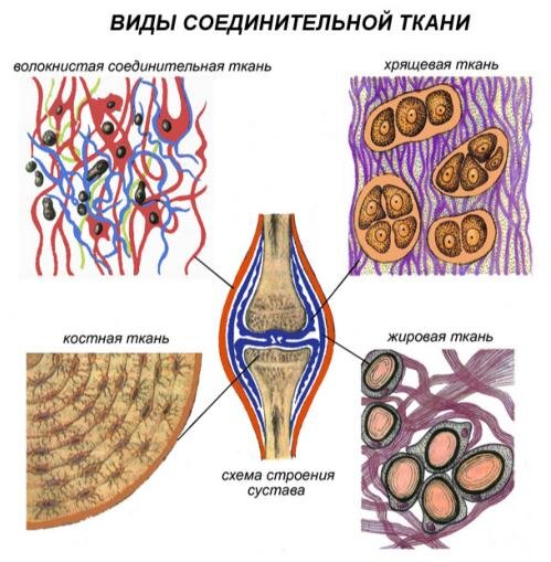 Ткани для шитья: какие бывают и чем отличаются