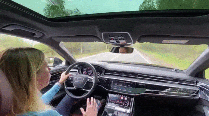 За рулем Audi A8. Лиса Рулит