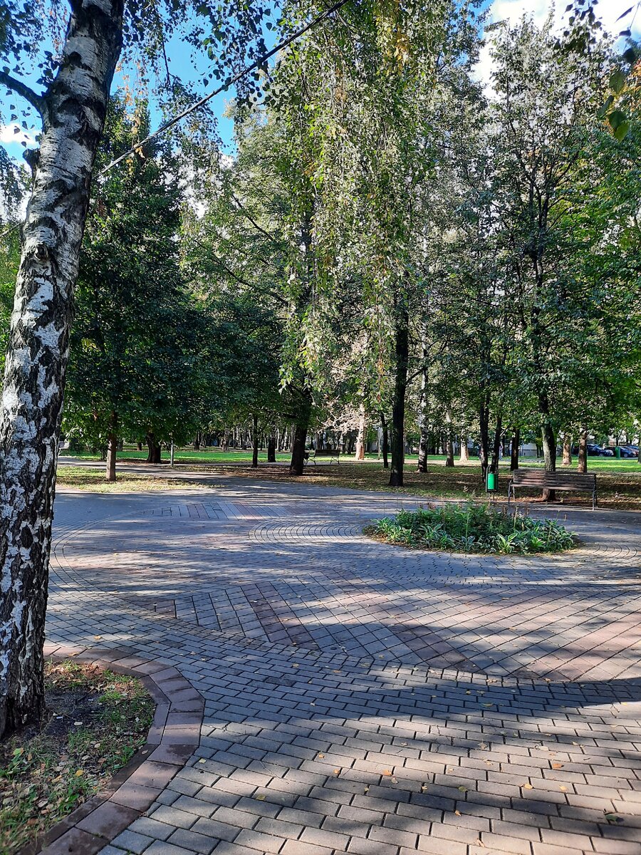 Школьный сквер.