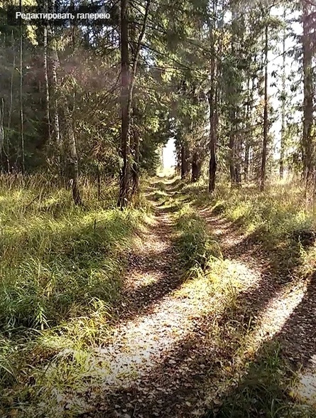 Все впереди..