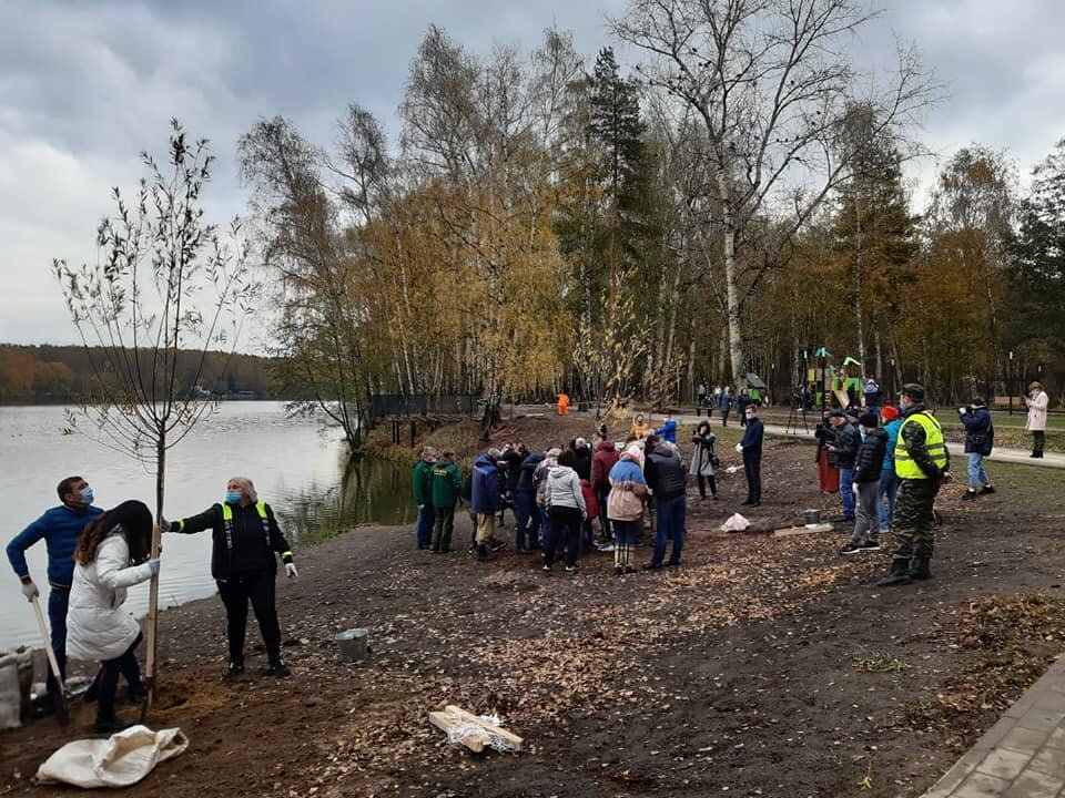 Малаховское озеро после благоустройства