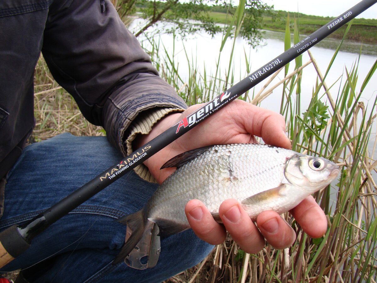 удилище cresta identity 3. пикер mifine dream way 2,7. спиннинг телескопический kaida 2,1. фидер волжанка фортуна. 7.