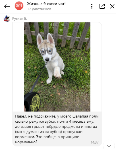 Да, такое поведение абсолютно нормальное. 