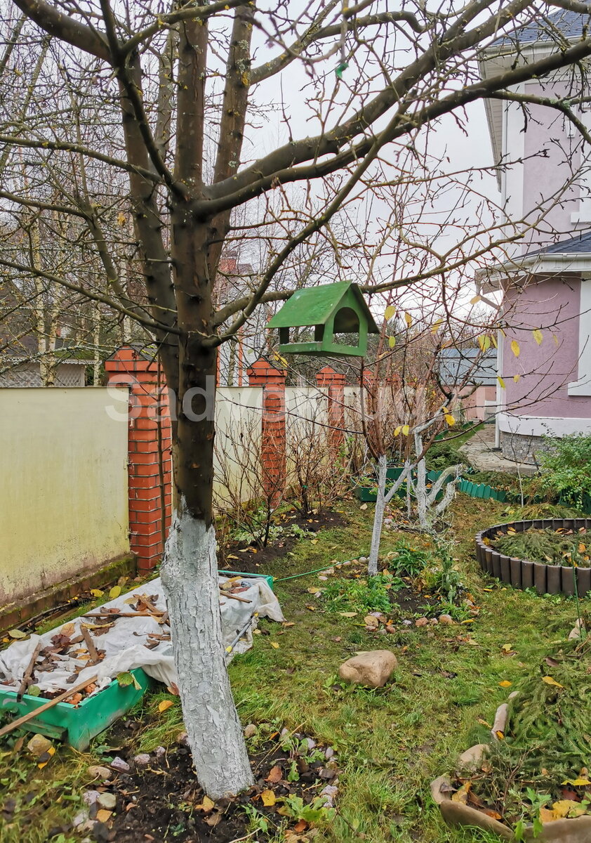 Уничтожаем садовых вредителей до наступления зимы.