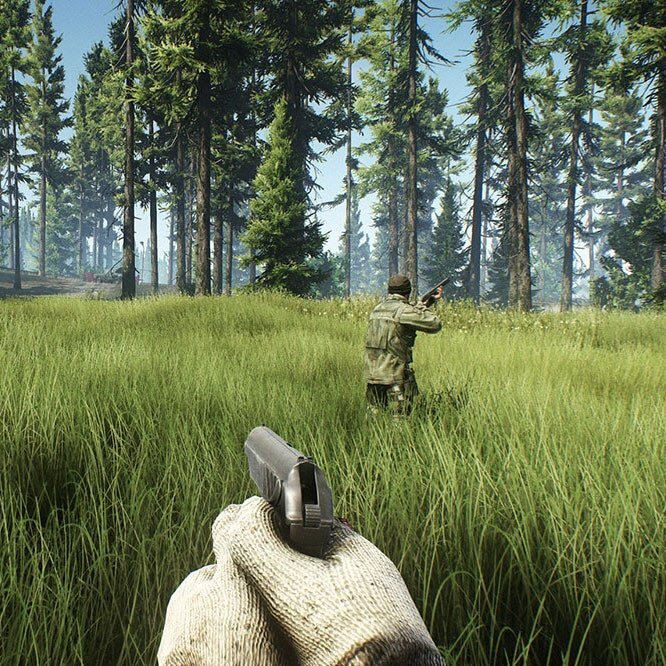 скриншот кусочка леса "таркова"