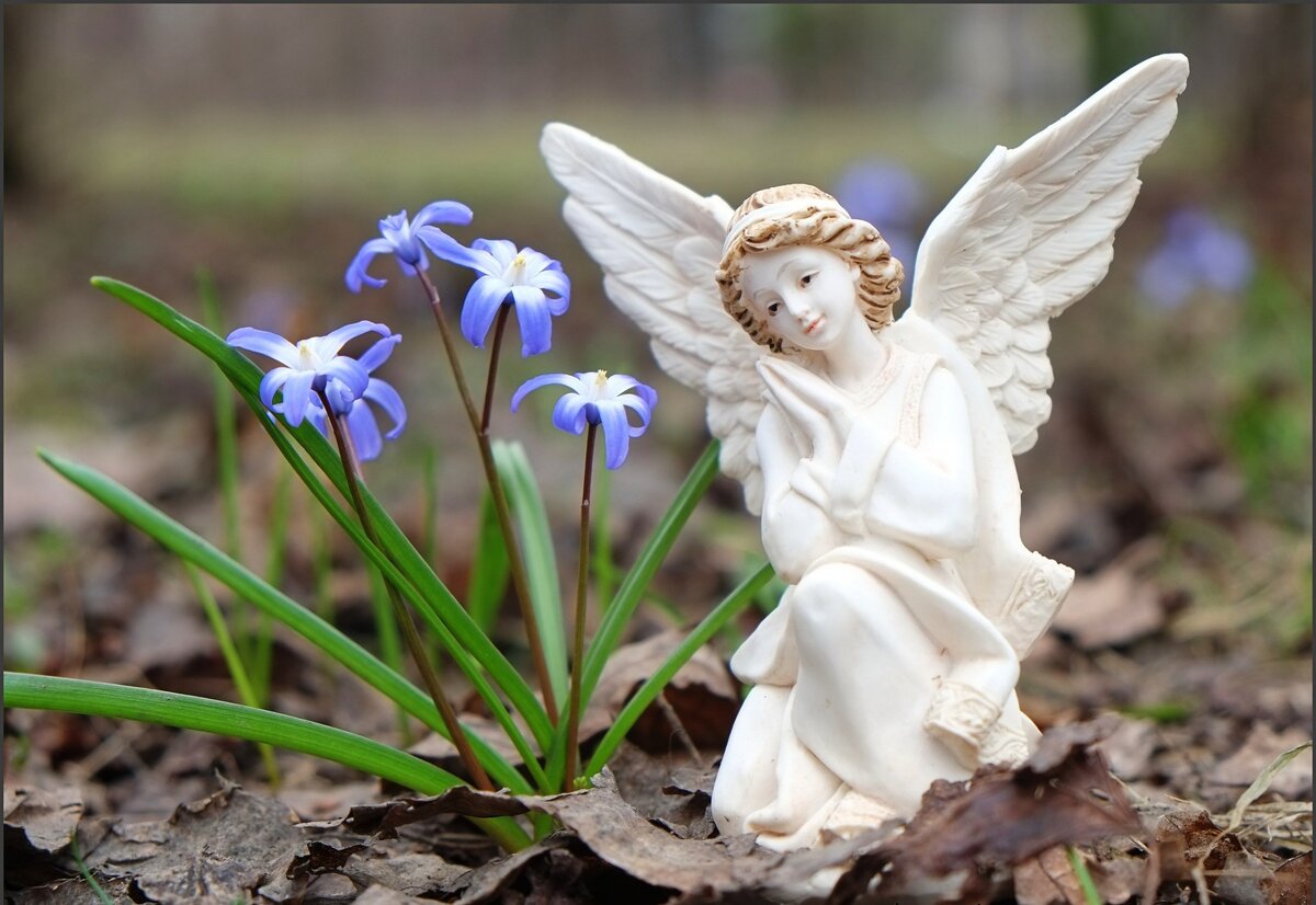 Источник изображения:  сsunhome.ru