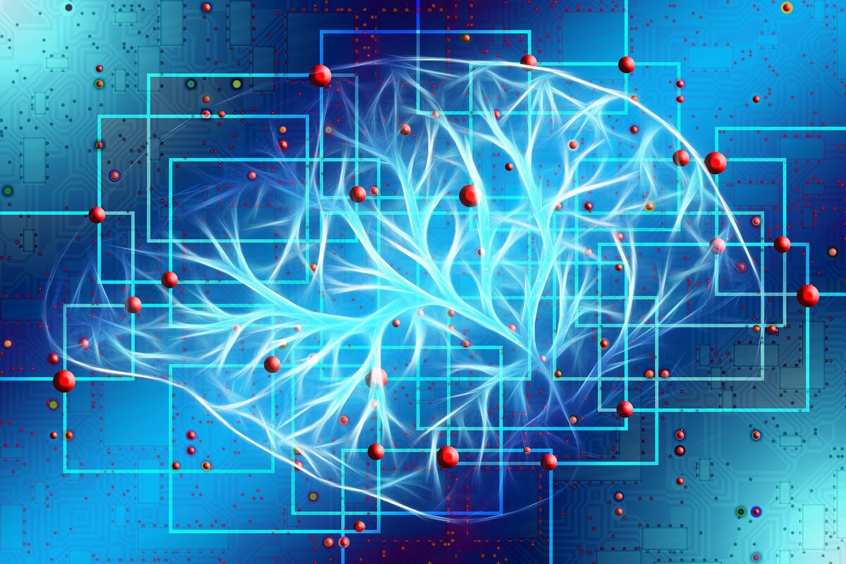 IQ тест с хитрыми вопросами. Сможете правильно ответить на 8? | Не дома |  Дзен