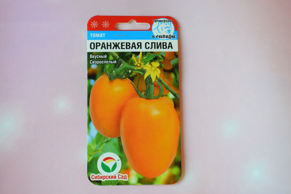 Вкусный скороспелый томат оранжевая слива яркий акцент на грядке и в банке  в новом сезоне | Дом и Дача | Дзен