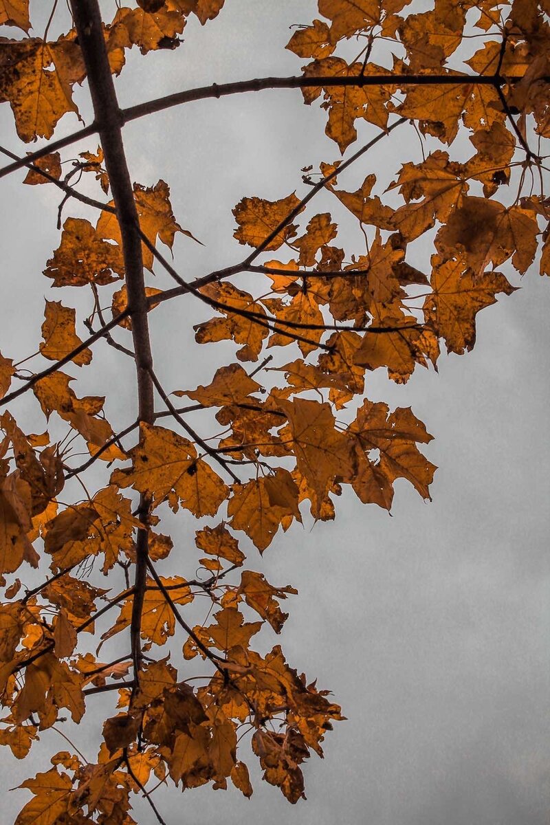 Интересное только для тебя!