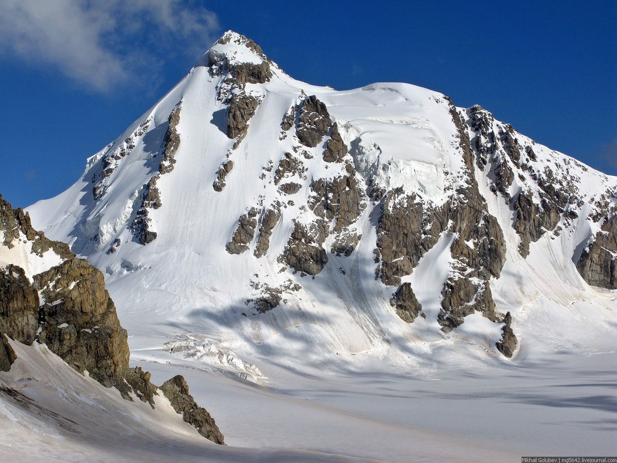 Самая высокая гора россии высотой 5642. Уилпата гора. Уилпата Дигория. Ледник Уилпата. Гора Уилпата в Цейском ущелье.
