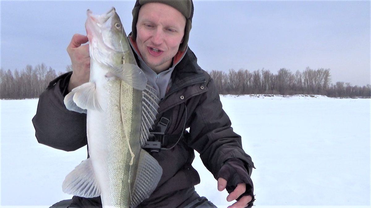 Мы видели, как взвился флажок жерлицы. Если бы побежали - судака скорее всего нам не видать...