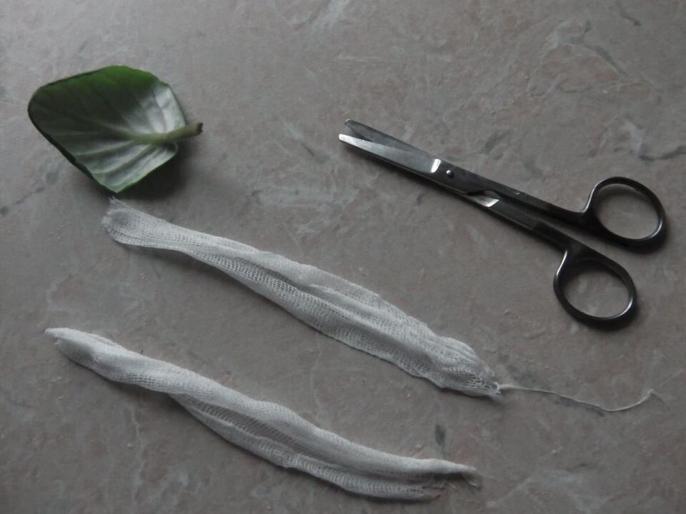 Нарезаем марлю или бинтик. Фото автора 