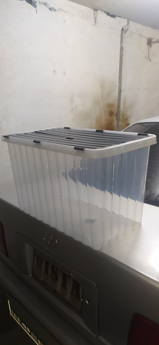 Цена его всего 250 рублей