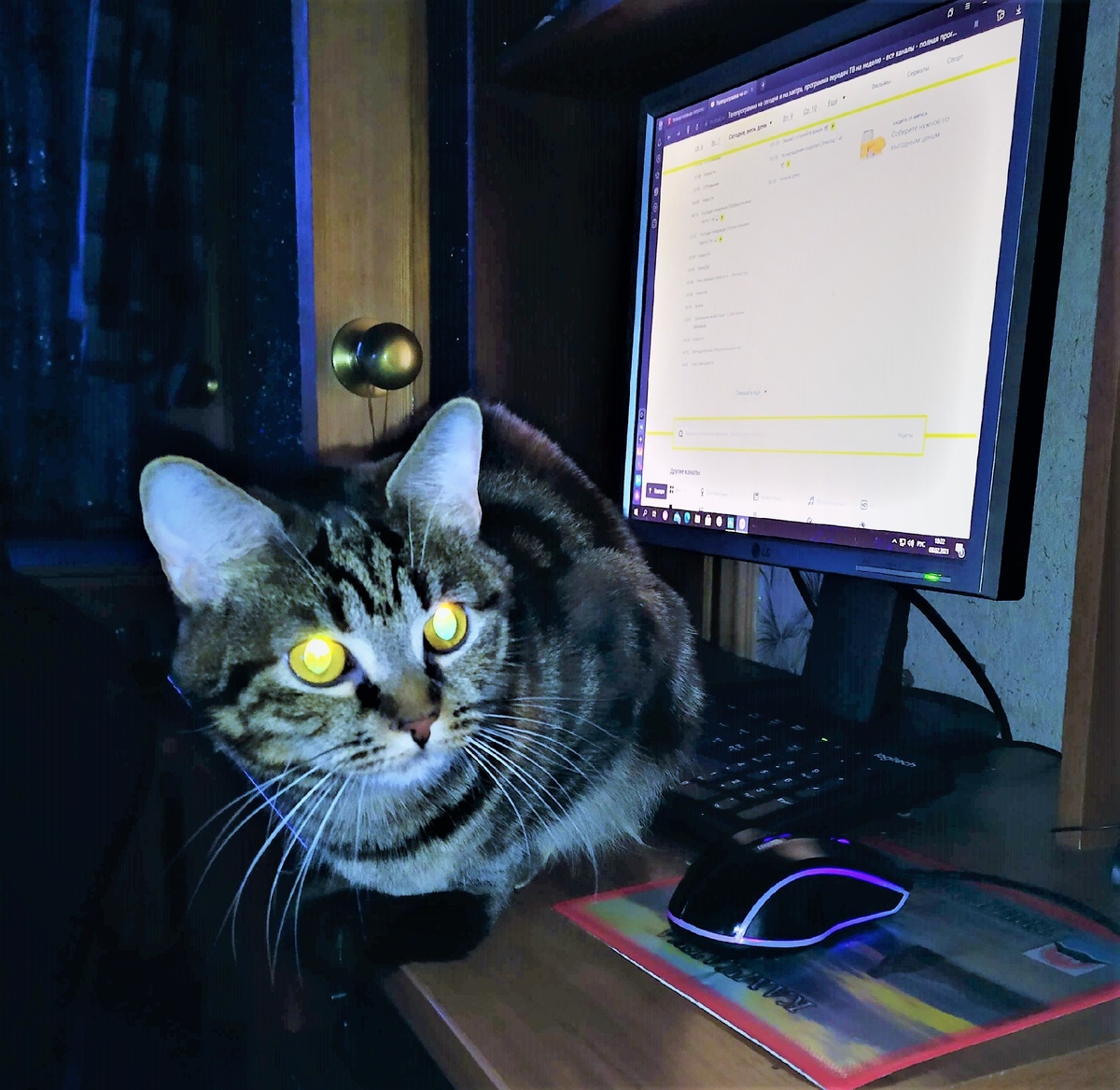 Фото из личного архива. Мой неизменный соавтор.