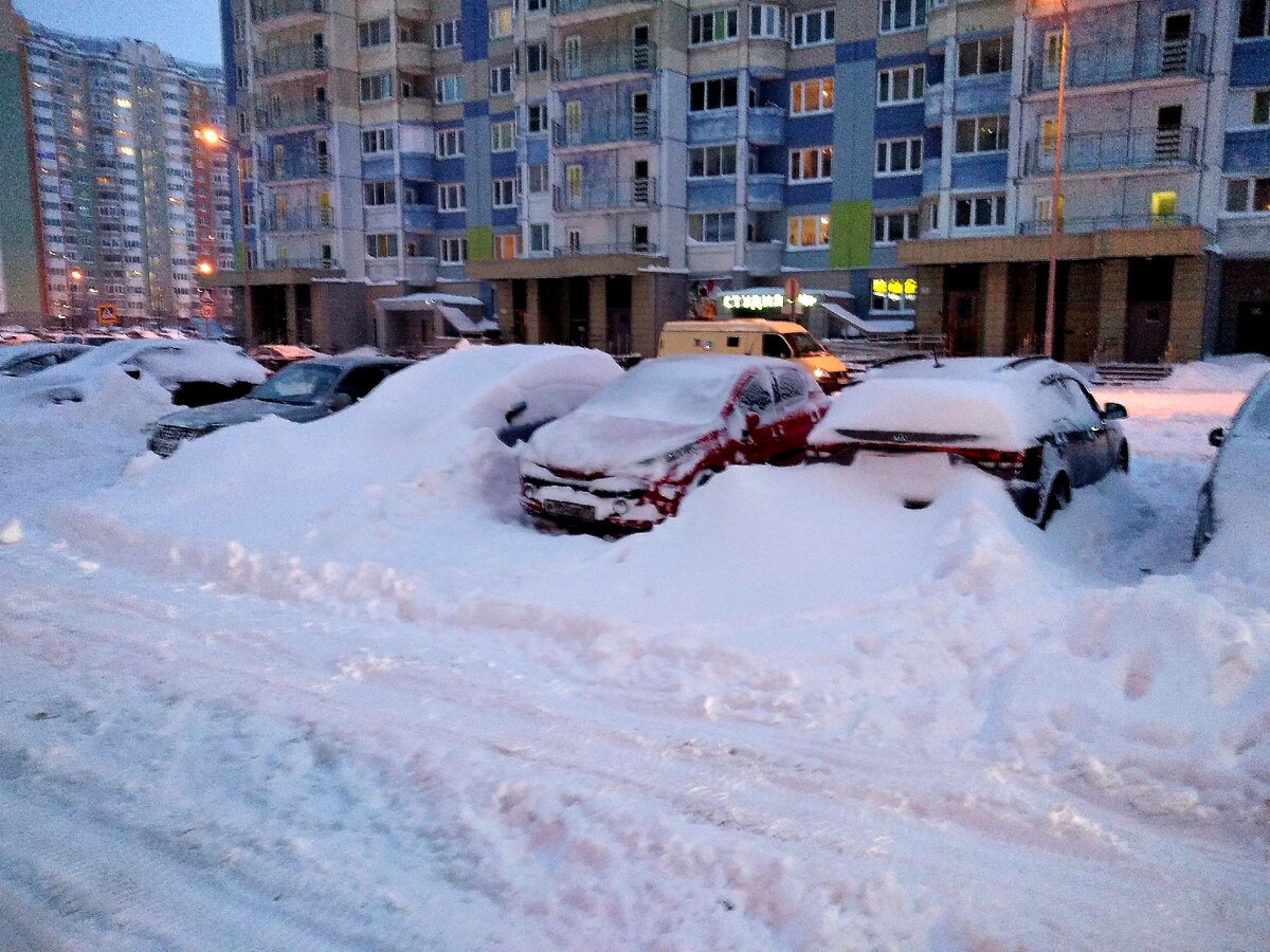 Сугробов новое. Новосибирск завалило снегом. Машина завалена снегом. Сугробы в Новосибирске. Сугробы в Сибири.