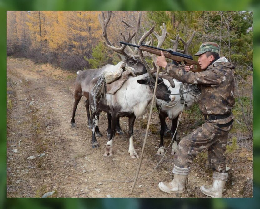 Современный таёжный охотник-эвенк. Источник фото popgun.ru