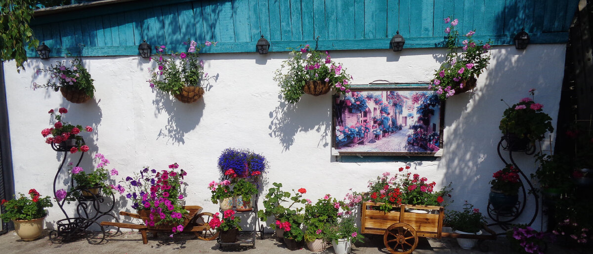 Мой контейнерный цветник возле гаража