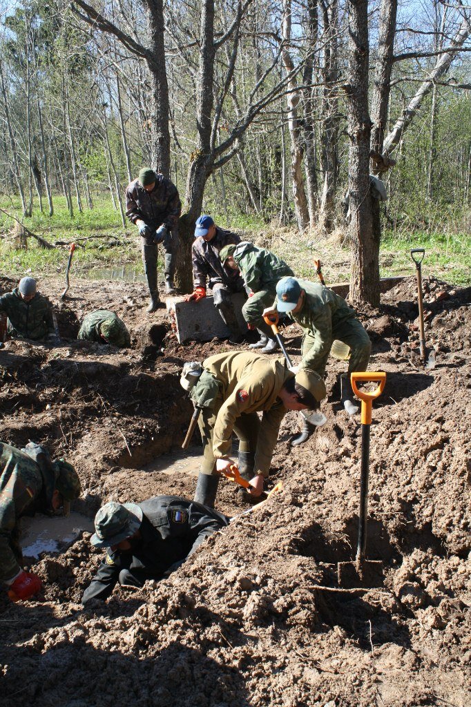Обычные поисковые будни
