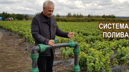 400 Тонн Дождевой Воды Для Полива Саженцев. Система полива. Питомник Vitis-Cojusna. Молдова.