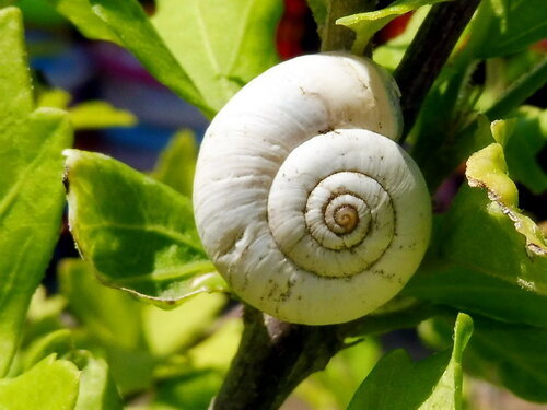 Философия природы. Фото из открытых источников