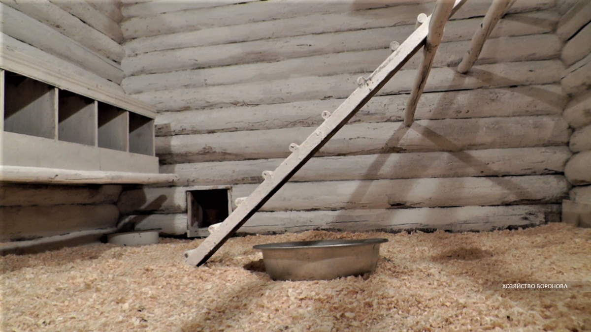 Обустройство курятника