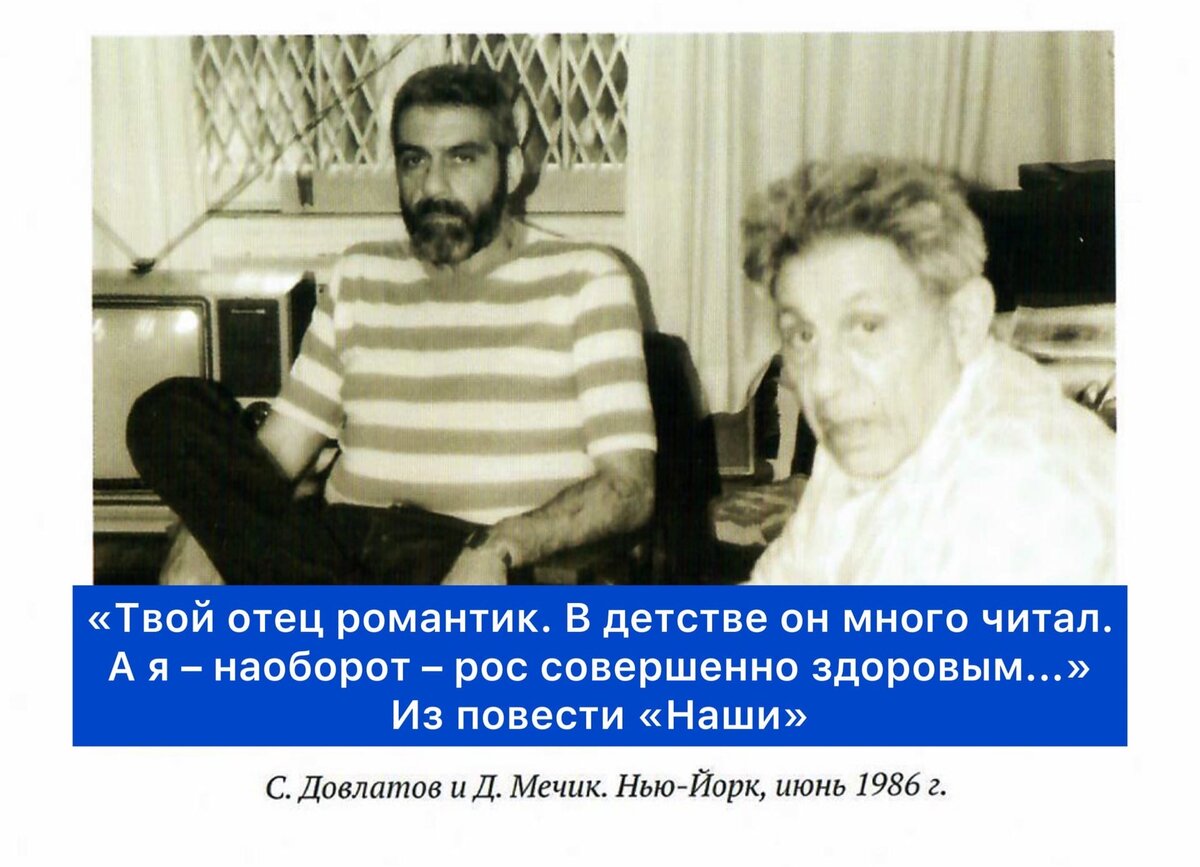 Фото Яндекс картинки.