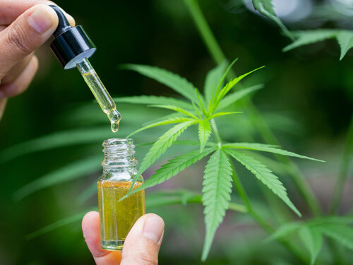 Использование конопляного масла.