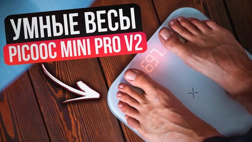 Умные весы Рicooc mini Pro V2