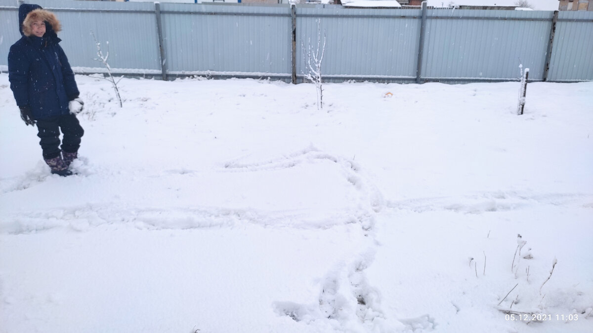 Выбирает место строительства. Отмечает размеры и расположение.