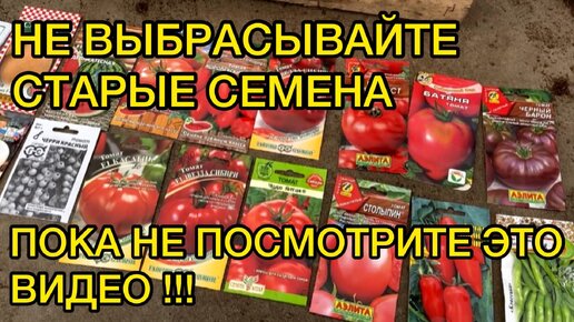 ПОСЕЯЛ ПРОСРОЧКУ И ВОТ ЧТО ВЗОШЛО! ТОМАТЫ. ПЕРЕЦ. ТЫКВА. ДЫНЯ. АРБУЗ.