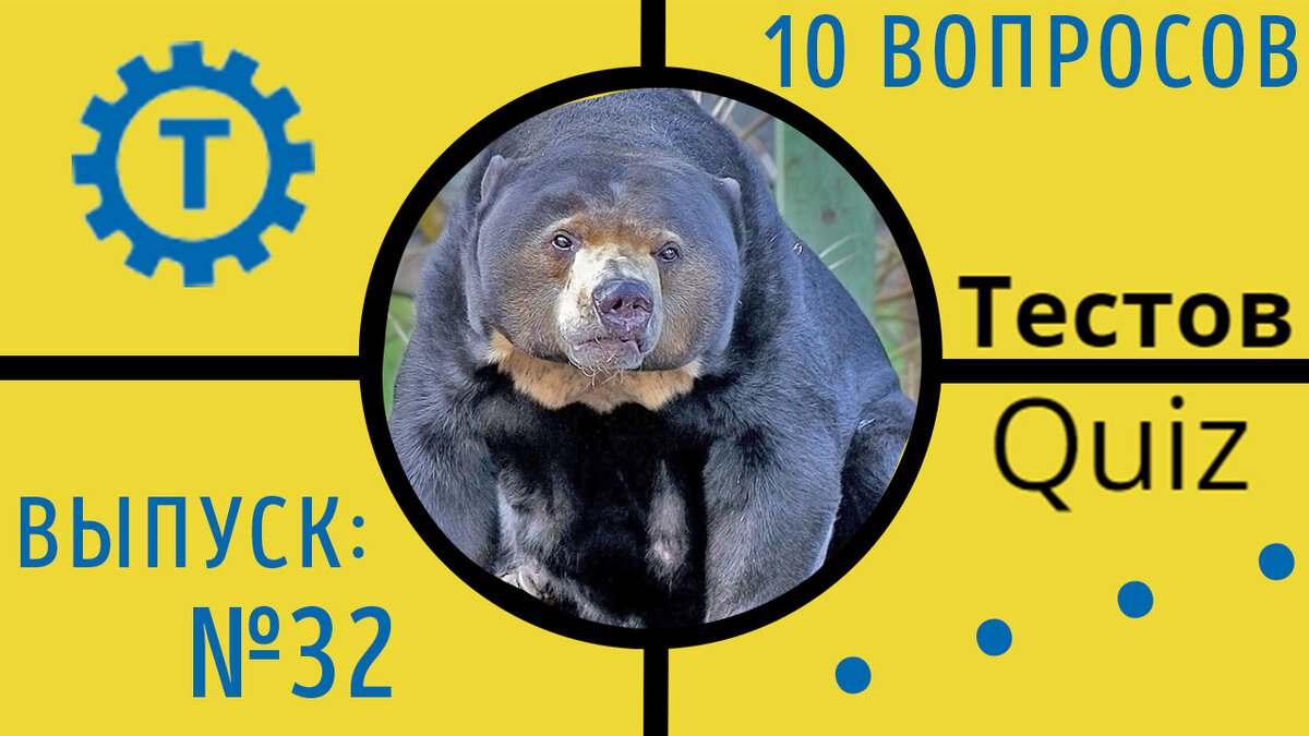Коллаж автора Тестов Quiz // Выпуск №32
