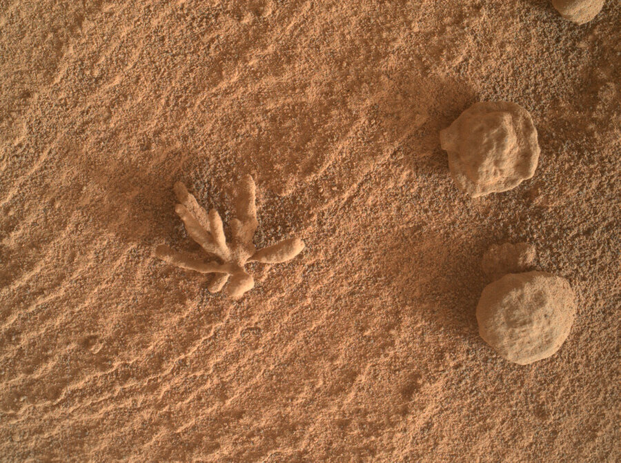 На Марсе в кратере Гейла найден окаменелый "коралл"
