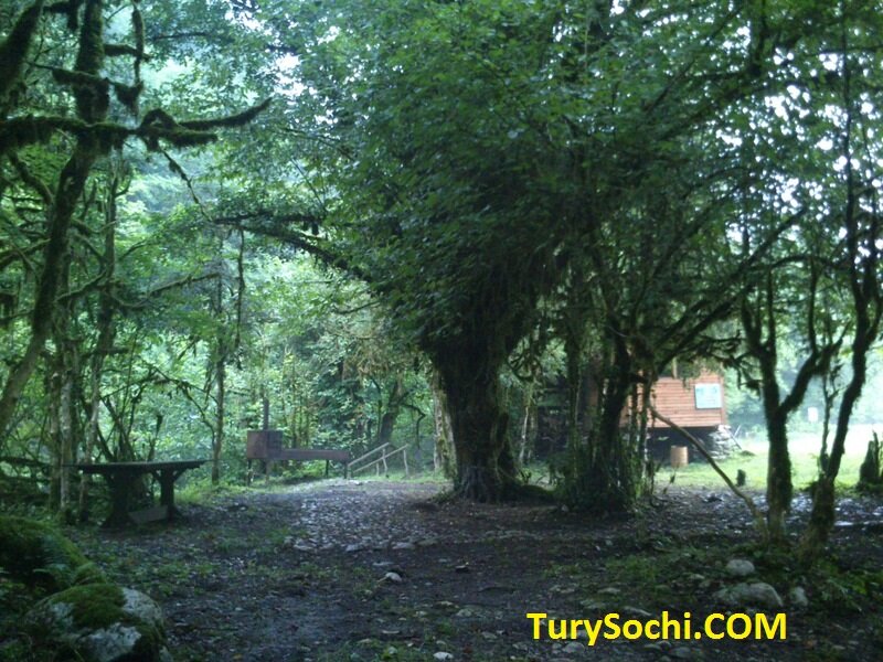 Сами фото не сделали, потому что фоткать то практически нечего. Фасад бани и вытоптанные коровами места для кемпинга