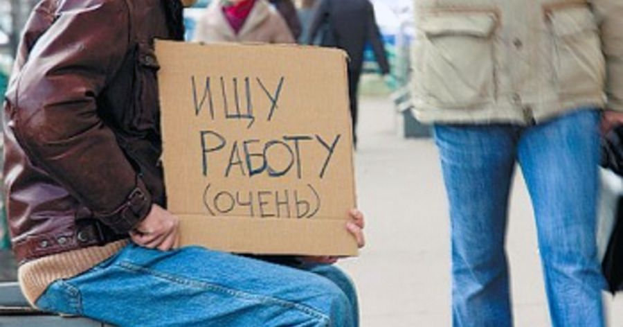 В поисках работы 12