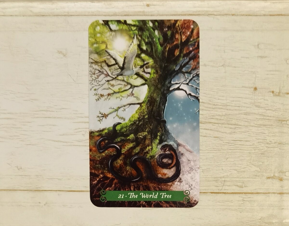 Аркан 21 "Мировое дерево" ("The World Tree"). "Таро Зеленой ведьмы".