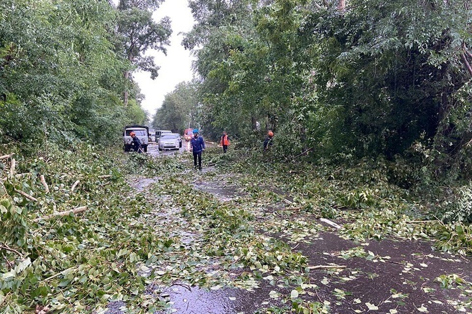     Вот это погодка: Комсомольск-на-Амуре засыпало деревьями из-за шквалистого ветра  ГУ МЧС России по Хабаровскому краю