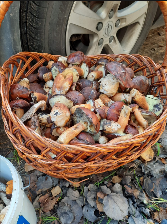 Автор фото Антонина Буркова