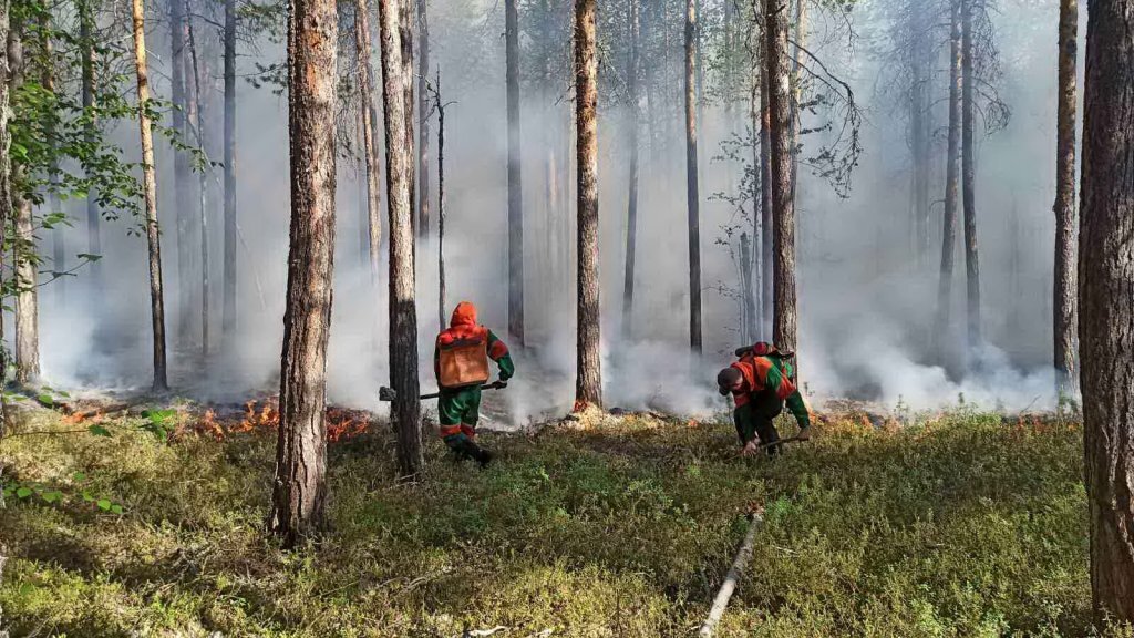    фото – сайт правительства ЯНАО