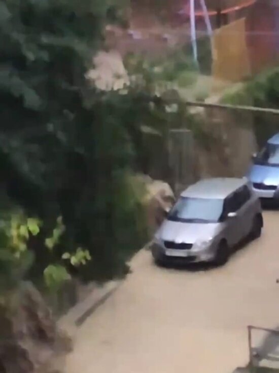     СКРИНШОТ ВИДЕО t.me/sochi_today
