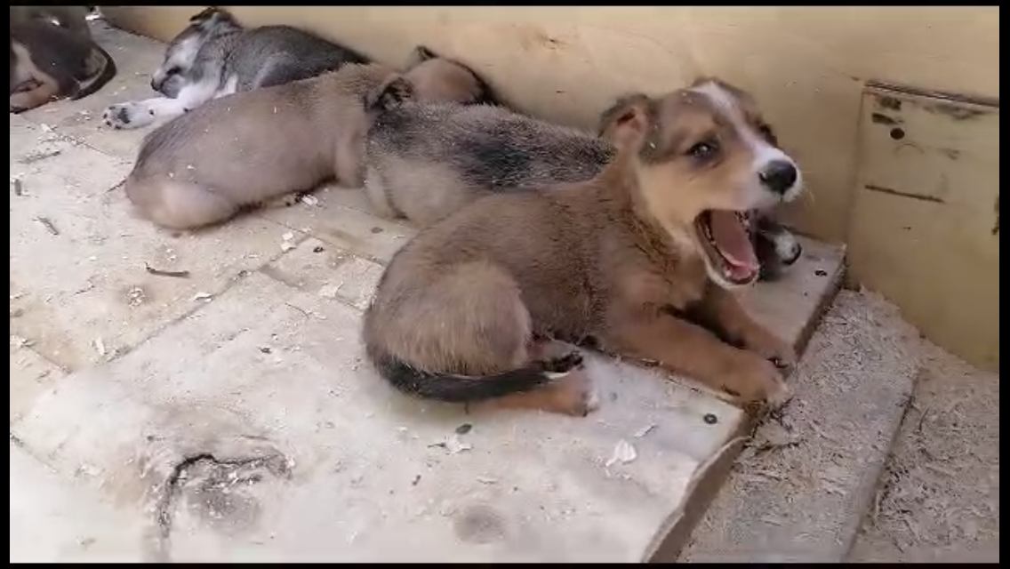 -1-3