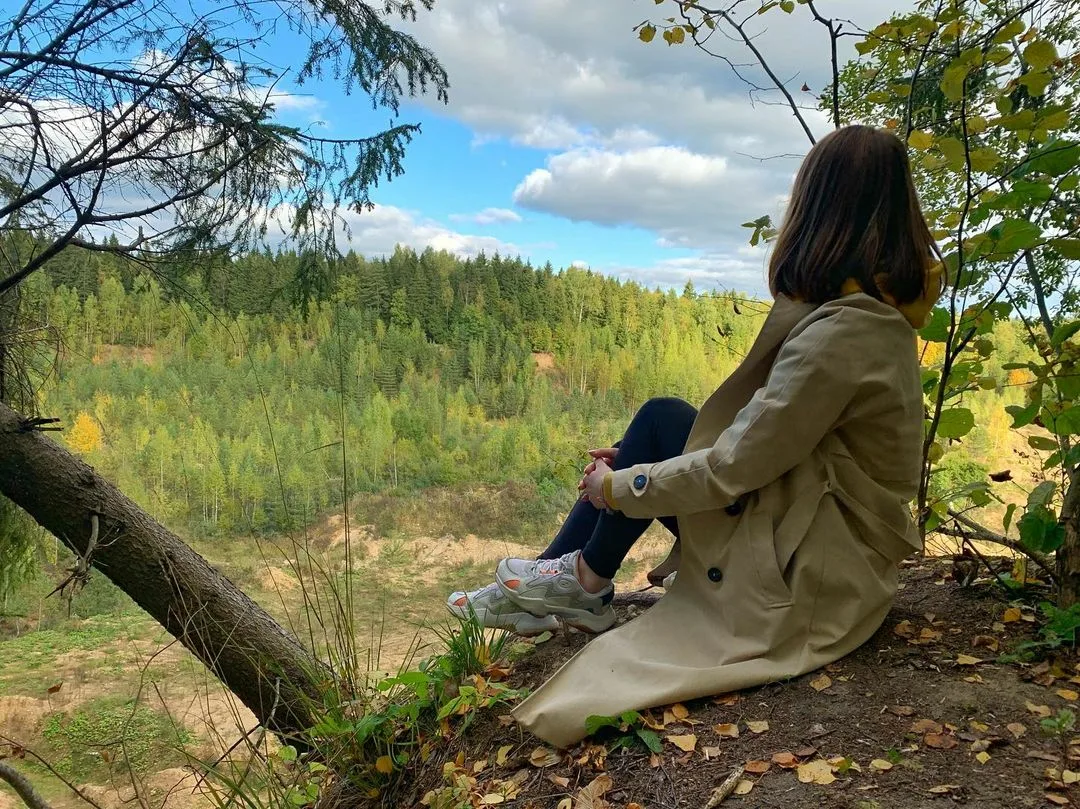 (из интернета)