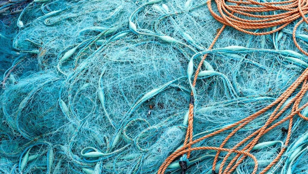    Фото: depositphotos