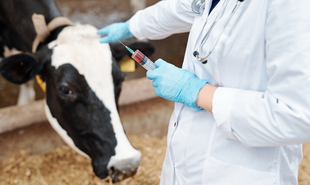 В Тверской области центр «Развитие-Агро» будет готовить 250 рабочих для АПК в год