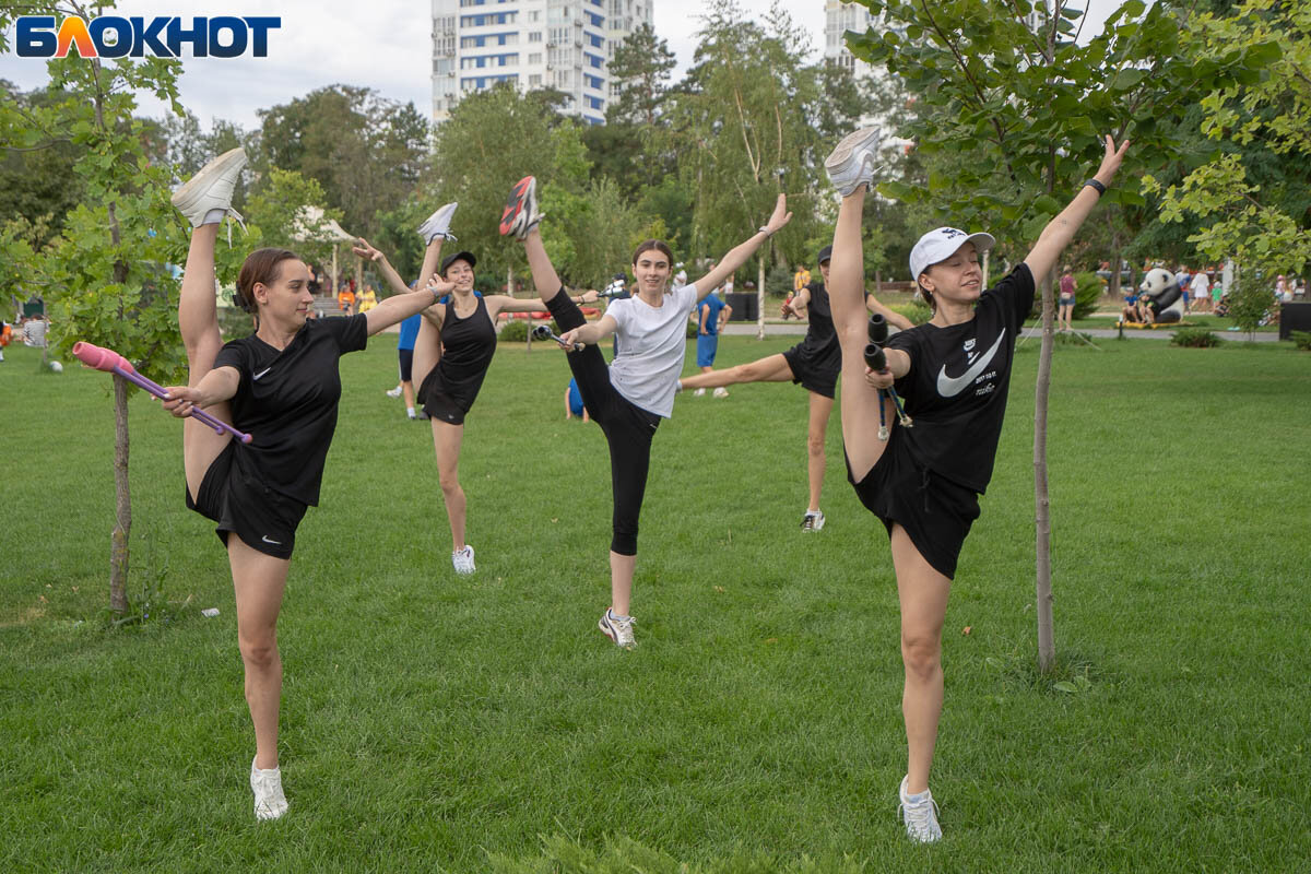 Спорт организатор