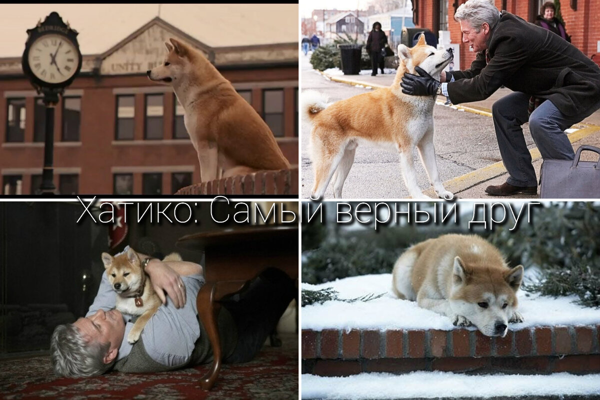 Фильмы для всей семьи, которые я обязательно пересмотрю со своим ребенком |  Смотри с Молли | Дзен