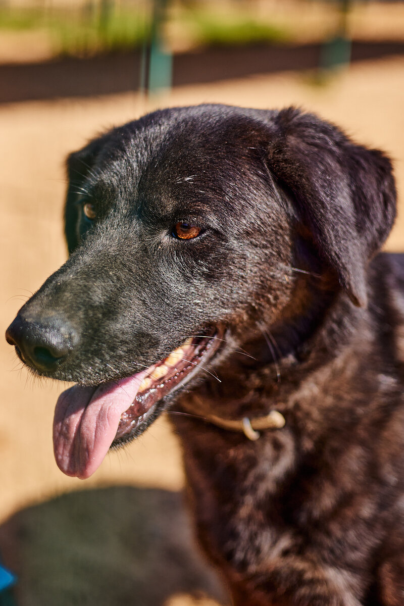 Мишель –  черная девочка поменьше