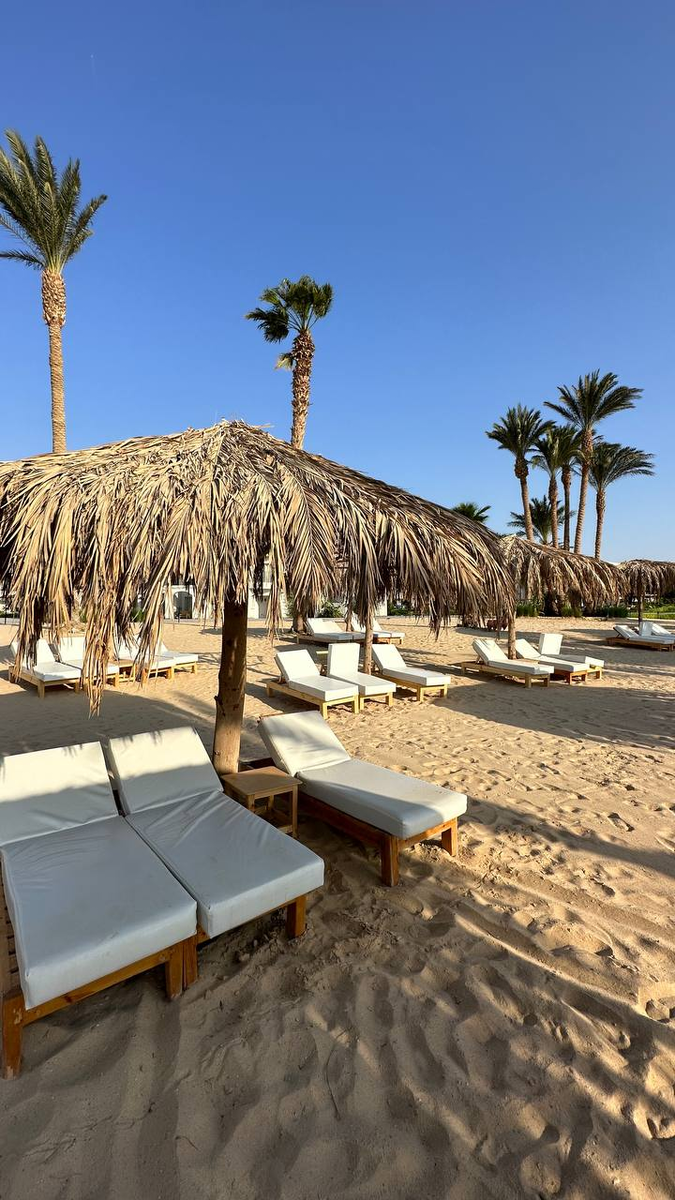 Serry beach resort туры. Serry beach resort 5. Serry beach resort 5. Serry beach resort 5. Serry beach resort.